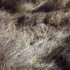 ‘o sabor da casca’, impressão lambda, 20 x 15 cm, 2009/ ‘o sabor da casca’, lambda print, 20 x15 cm, 2009