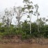 Amazonas (Viagens), vídeo HD, 08'04'', 2010/Amazonas (Travels), HD video, 08'04'', 2010.