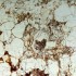 O granito (Paisagens), impressão lambda, 42 x 36 cm, 2009/ The granite (Landscapes), lambda print, 42 x 36 cm, 2009.